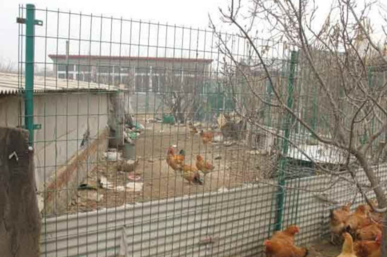 養(yǎng)殖護(hù)欄網(wǎng)規(guī)格